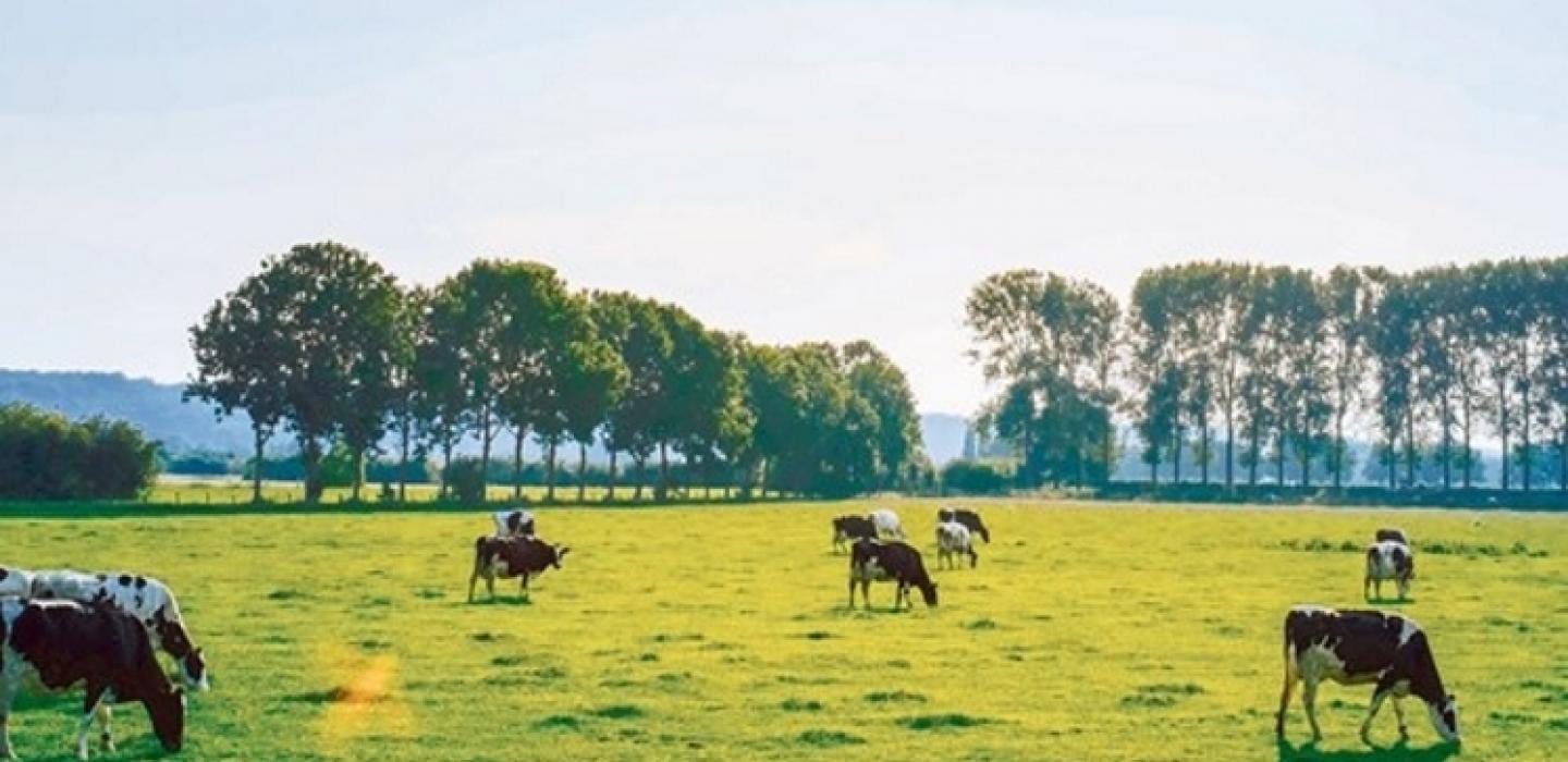 Belgian dairy further reduces carbon footprint